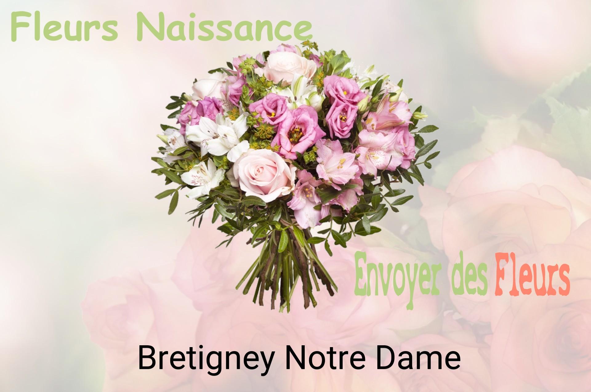 Bouquet de fleurs de naissance livré à Bretigney-Notre-Dame
